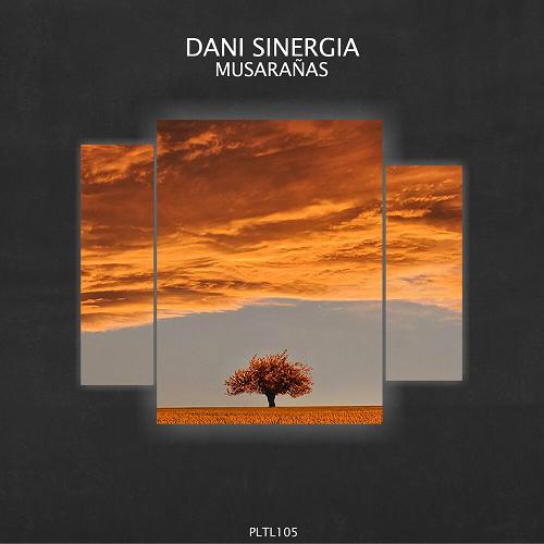 Dani Sinergia - Musarañas [PLTL105]